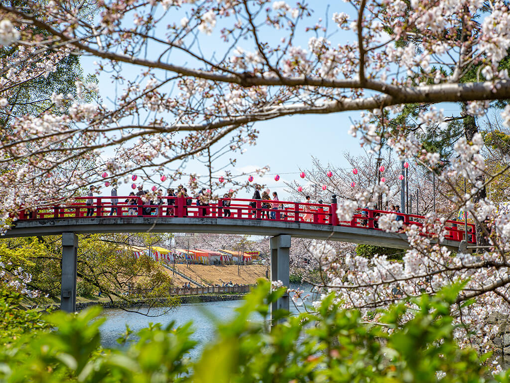 Okazaki Park in Spring