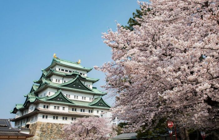 Nagoya Castle Spring Festival Nagoya Info