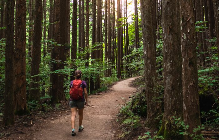 Magome to Tsumago Hiking Tour from Nagoya